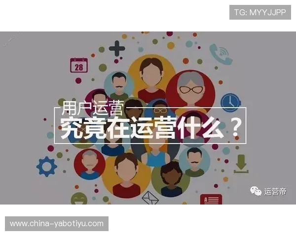 亚博体育官网平台合法合规运营策略，确保平台稳定发展与用户权益保障