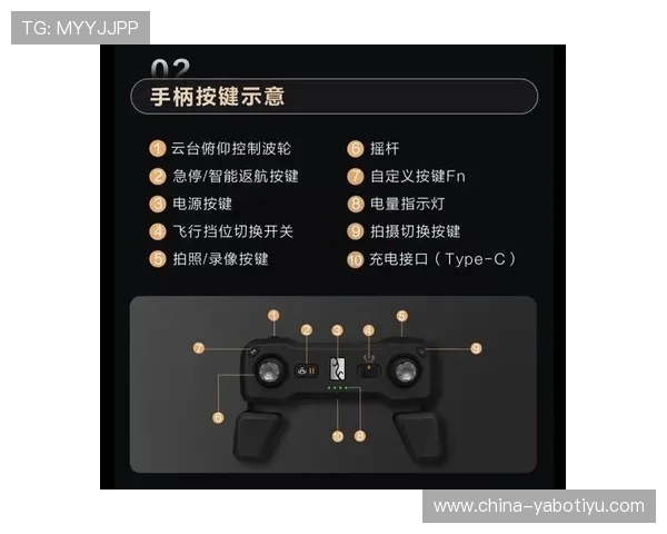 亚博YaBo真人版玩家指南：从入门到精通的完整操作流程与实用技巧