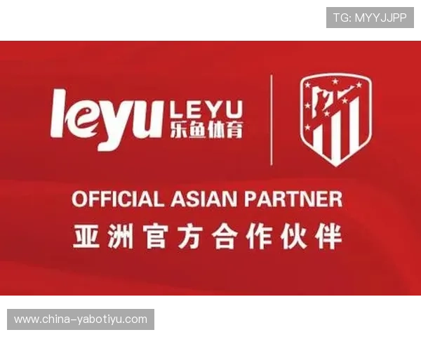 乐鱼体育最新功能介绍：提升用户体验的核心亮点与操作指南